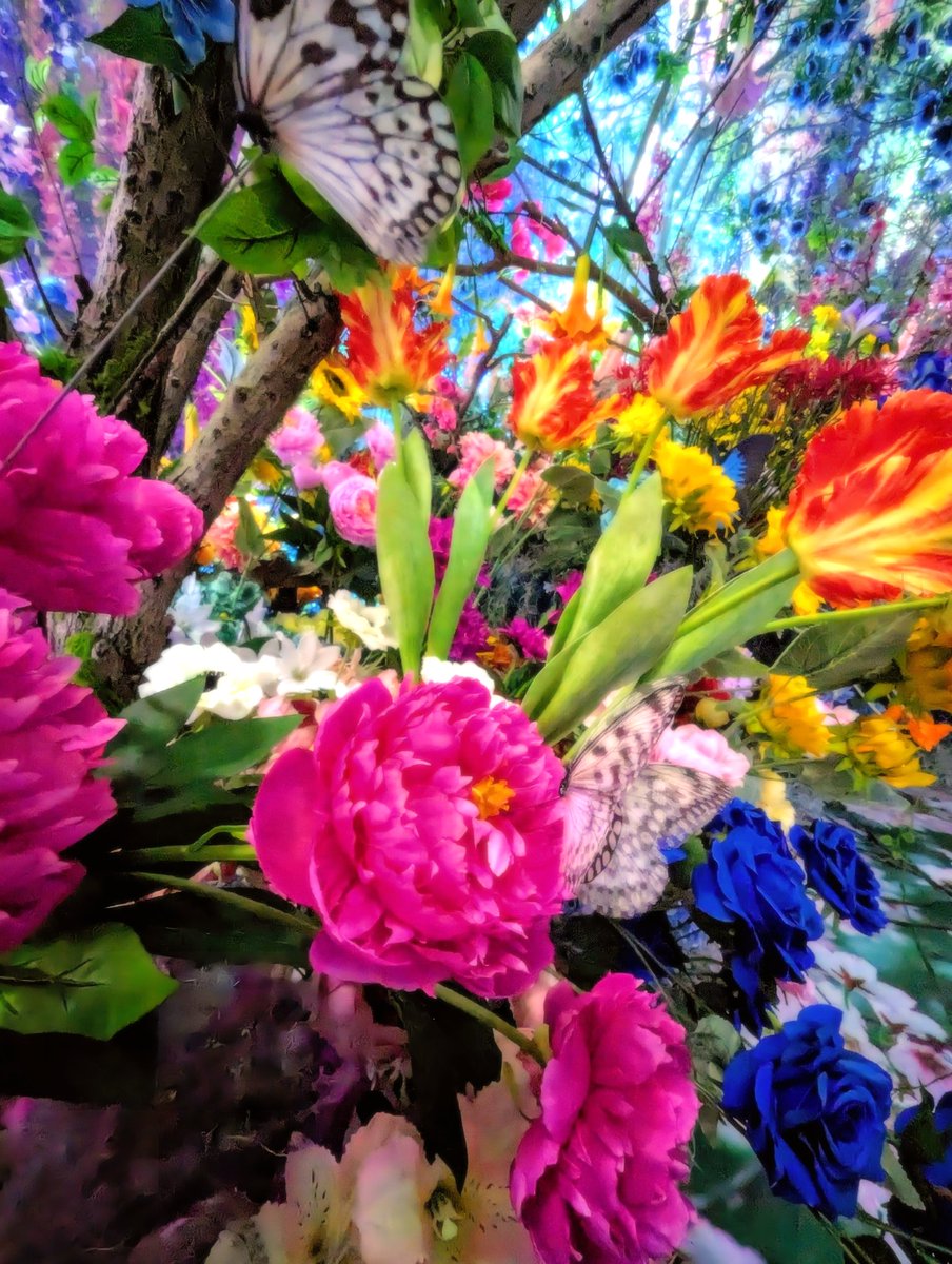 makiron_com's tweet photo. #蜷川実花展eim 
美しい世界観をお裾分け

生きていると色鮮やかな美しい世界を体験できるメリット

いきる
いきる
元気で心穏やかに生きましょう https://t.co/P6XtXoKOy1