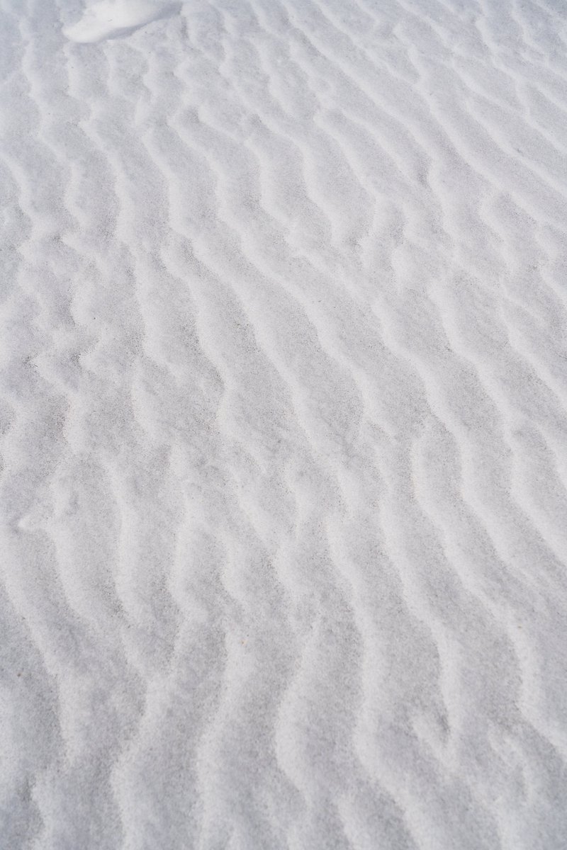 White powdery sand > white powdery snow Who's with us?! ☀️🌴 #StPeteBeach #Florida