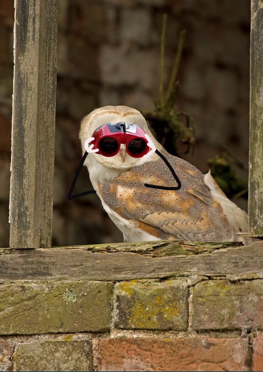 RSPBSaltholme's tweet image. #ThisTimeNextWeek will be our latest #Binoculars and #Telescopes Open Weekend! This is the perfect opportunity to #TryBeforeyouBuy and get someone the perfect #birdwatching equipment for #Christmas!
This event runs 10am-3pm.