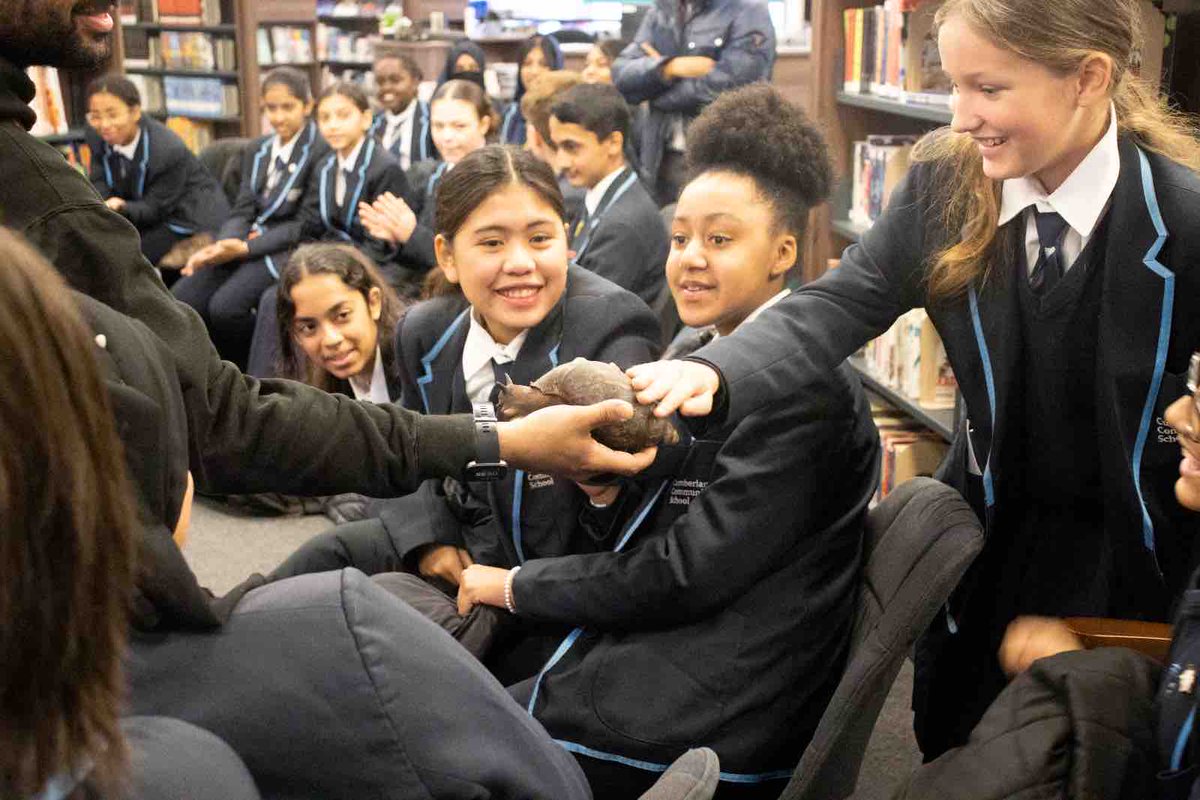 cumberlandcst's tweet photo. As a reward for our CCS Superstar readers, the students enjoyed a special visit from ZooLab this morning. They had the opportunity to meet some amazing, not so cuddly, creatures up close! What a fantastic experience! #animals #superstarreaders https://t.co/mL0meGuB35