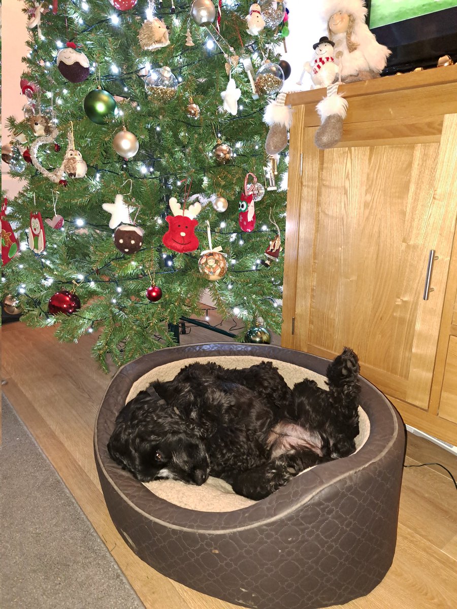 Alison Mully tweet media