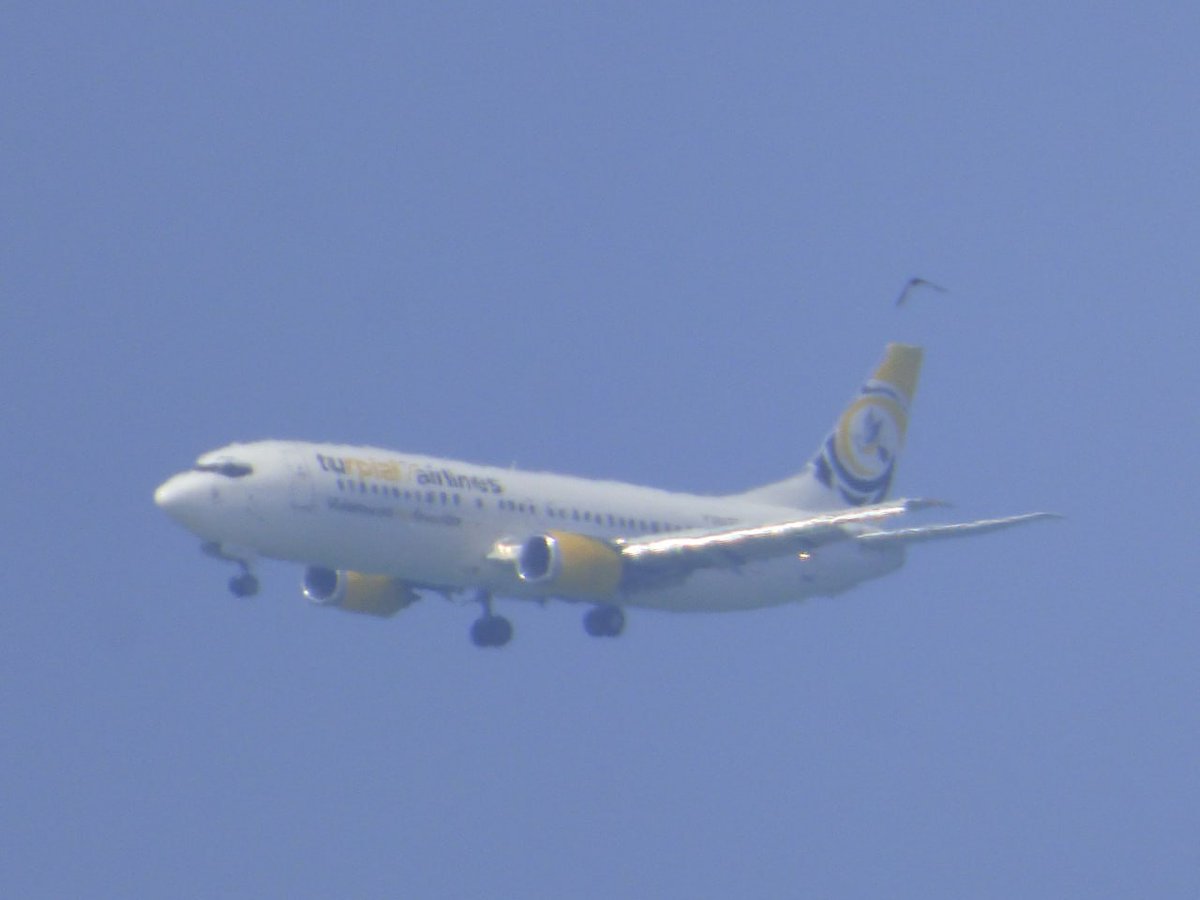 sintoniadx's tweet photo. Turpial Airlines inició hoy sus vuelos de Valencia a Barcelona.
Así vimos al B737 de Turpial vuelo 6707 cuando aproximaba a Barcelona por la pista 15.
#turpialairlines #aerolineaturpial https://t.co/EdOSjJCPLe