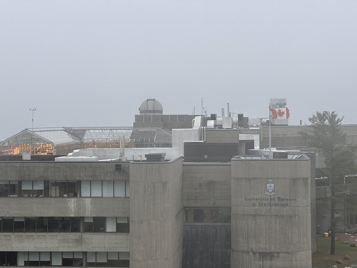 UTSC_Atmosphere's tweet photo. Foggy day at UTSC during a visit from an ECCC collaborator. 

#fog #UofT https://t.co/LhaWe0WP7E