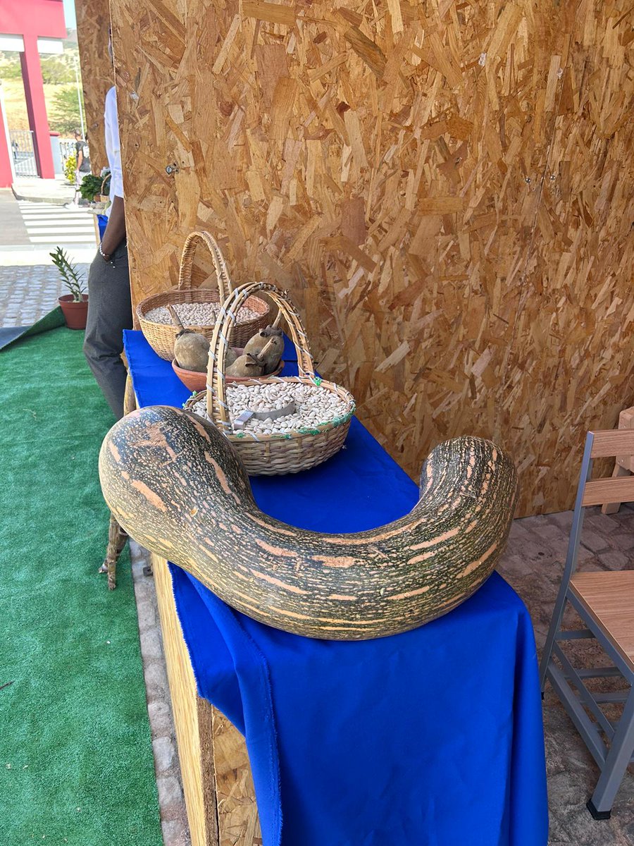 RPCA_network's tweet photo. On #CaboVerde Day of #RPCA39, producers display their wares at a mini agricultural fair for participants in Praia.🌾
Lors de la journée #CaboVerde de la réunion du #RPCA39, les producteurs exposent leurs produits lors d'une mini foire agricole pour les participants à Praia.🌾 https://t.co/7C3kN07NAj