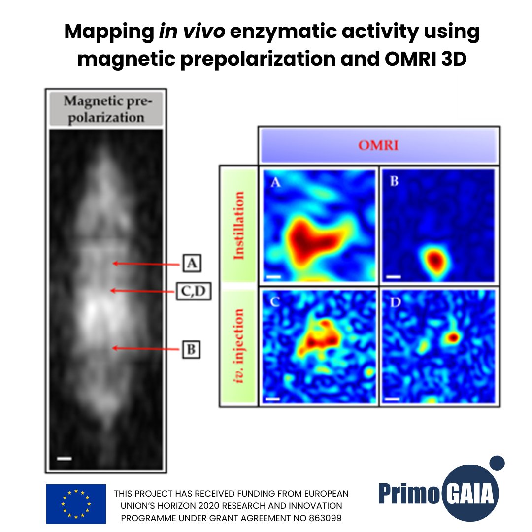 PrimoGAIA tweet media