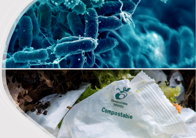Researchers led by Rafael Auras from Michigan State University’s school of packaging recently developed a bio-based polymer blend that boosts the compostability of PLA packaging. Learn more bit.ly/3KJYAa2  #compostablepackaging #compostablefilms #sustainablepackaging