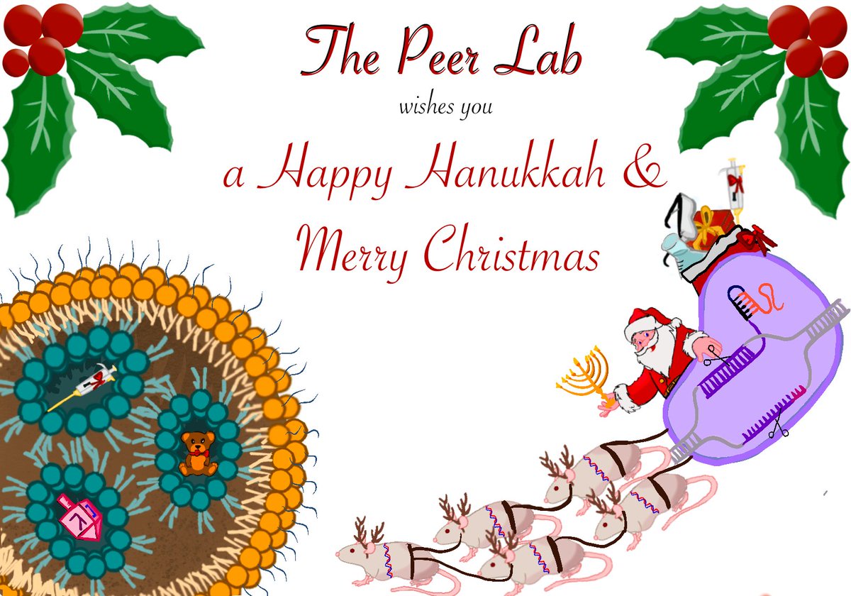 The Peer Lab wishes you a Happy Hanukkah & Merry Christmas 🕎🎄 #CRISPR_Sleigh #GiftDelivery #Nanotech