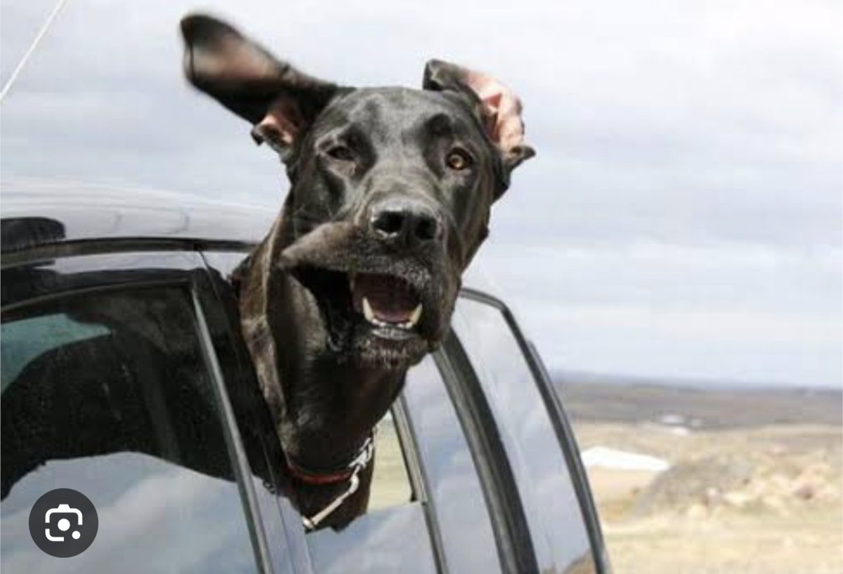 InspectahMellow's tweet photo. Me in Syed's uber rn https://t.co/YUGalW1VIp
