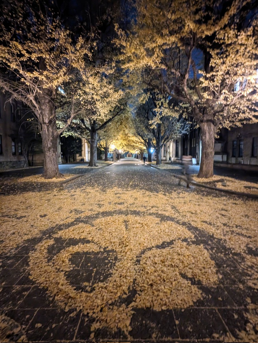 The emblem of UTokyo was recreated with ginkgo leafs tonight