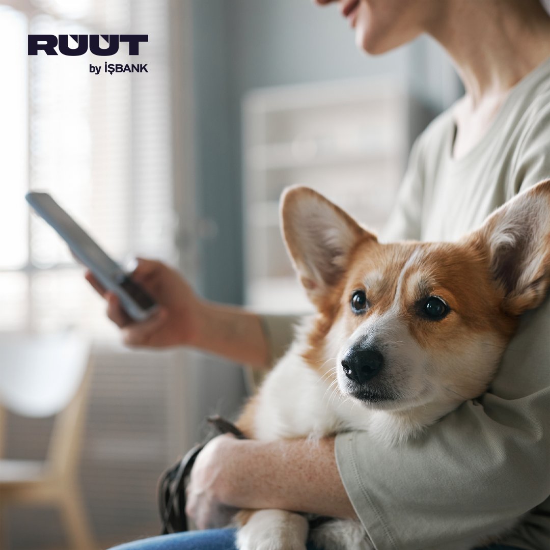 ruut_nl's tweet photo. Tüm finansal işlemlerini sıfır eforla yapabileceğini biliyor muydun? RUUT’ta, şubeye gitmeden, minik dostunla keyifli vakit geçirirken tüm finansal işlemlerini saniyeler içinde yapabilirsin. 
RUUT’la sıfır efor, bol sevgi❤️🐶 https://t.co/77KGu0oEPD