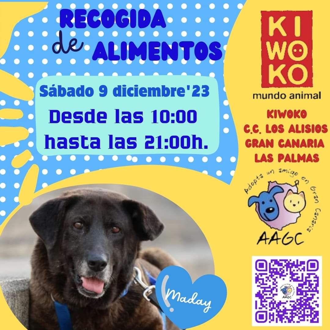 AdoptaunamigoGC's tweet photo. ¿Quién se anima?
Recogida de alimentos en el CC Los Alisios.
Sábado, 9, de 10 a 9 de la noche, en Kiwoko.
#LasPalmasGC
#FelizNavidad https://t.co/1fVIPA6IlR