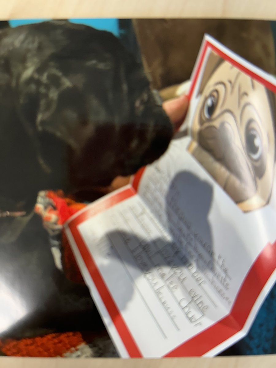 Sharon Latek tweet media