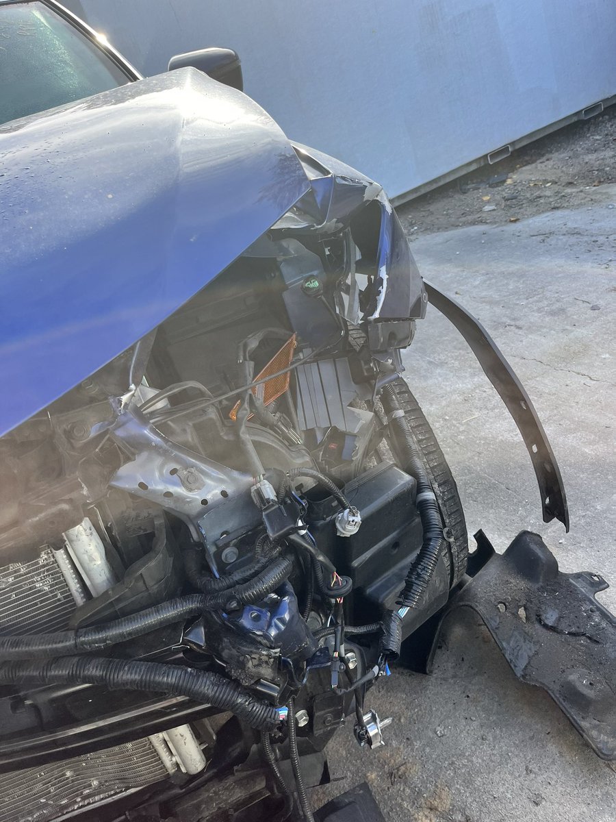 messofadreamr13 tweet media