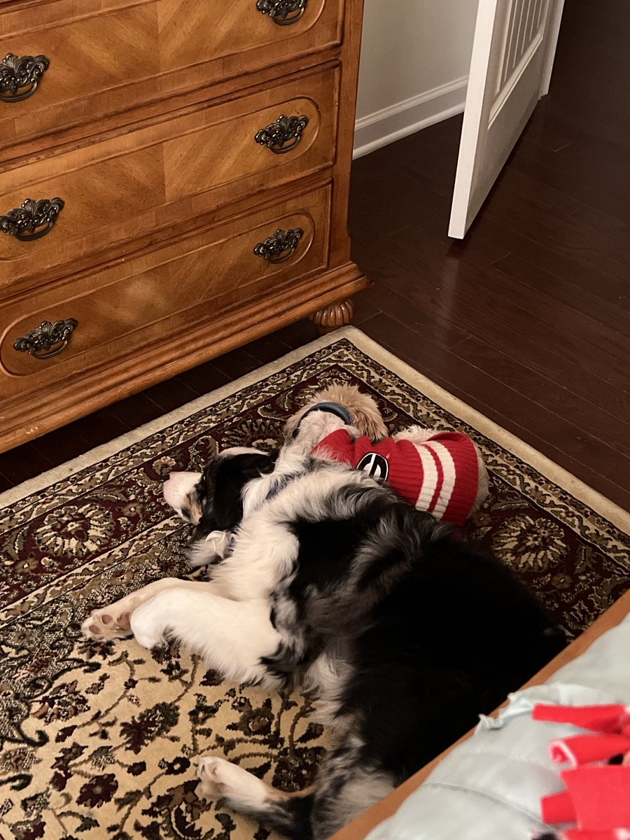 Sweet babies Remi and Hudson