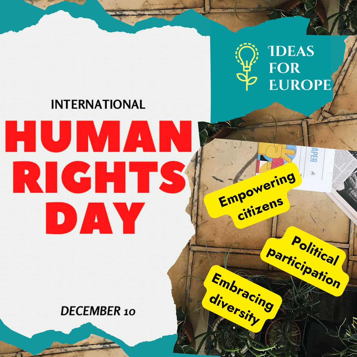 🌍 This #HumanRightsDay, we commemorate the 75th anniversary of the Universal Declaration of Human Rights. Share your inclusive solutions that amplify the voices of citizens in rural areas & groups often neglected in democracies 🗳️🤝#PoliticalParticipation 🗣️🌿