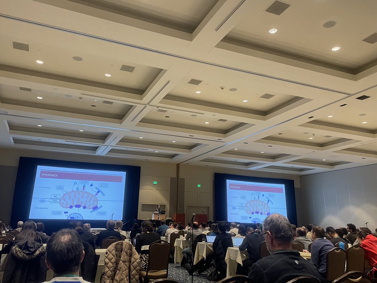 Philippa Rosewell (@philippajane5) on Twitter photo It was a great pleasure to give a talk presenting my PhD work in <a href="/LabGanley/">Ganley Lab</a> at the joint <a href="/KeystoneSymp/">Keystone Symposia</a> on #autophagy and #ubiquitin in disease. I had a fantastic time listening to some amazing talks and chatting to lots of interesting people. It was a great pleasure to give a talk presenting my PhD work in <a href="/LabGanley/">Ganley Lab</a> at the joint <a href="/KeystoneSymp/">Keystone Symposia</a> on #autophagy and #ubiquitin in disease. I had a fantastic time listening to some amazing talks and chatting to lots of interesting people.