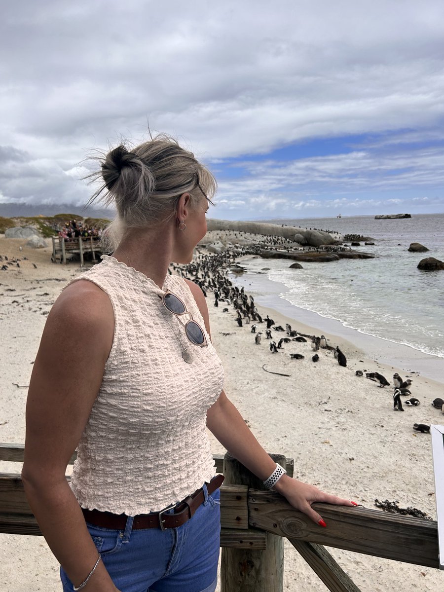 grabe_karen's tweet image. Boulders Beach 🐧

#pinguins