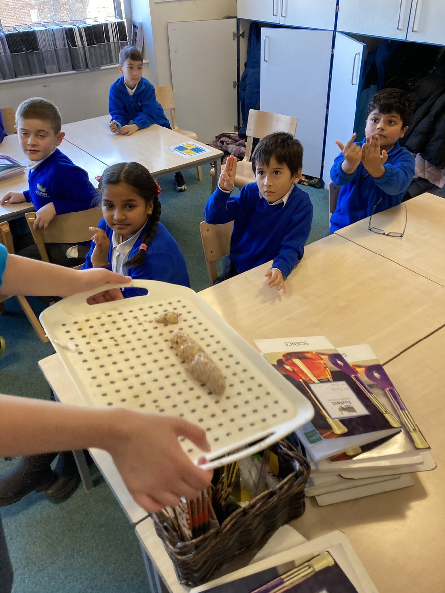 Foxfield - Year 3 tweet media