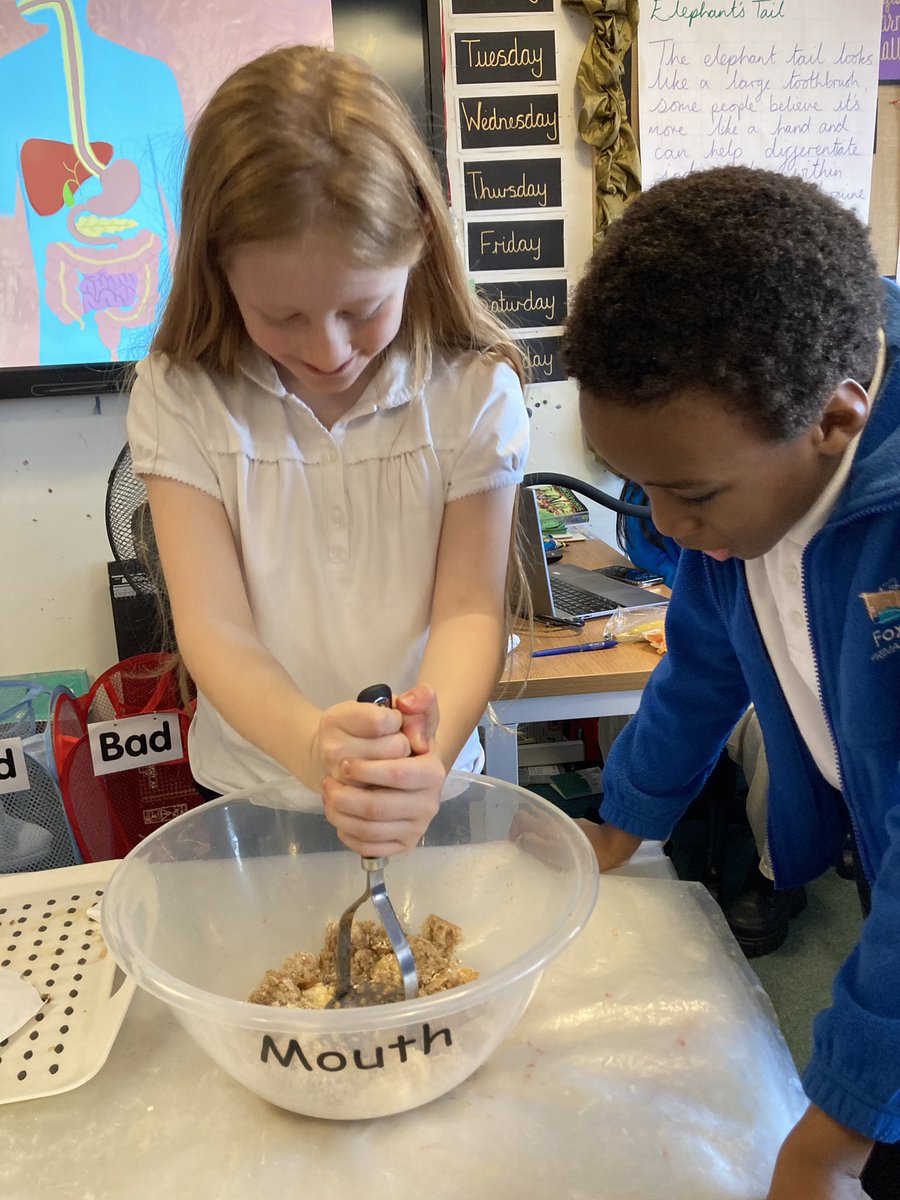 Foxfield - Year 3 tweet media