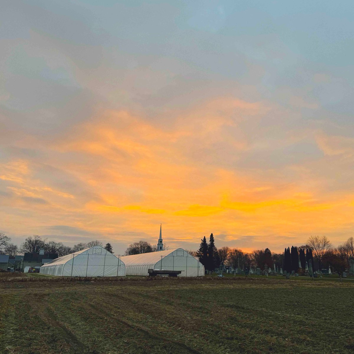 Good morning everyone! What's missing here, who wants snow for the holidays? #christmastimeishere #theholidays #snow #mawxweather @weatherchannel #BardwellFarm #season2023 #agriculture #aglife #farmlife