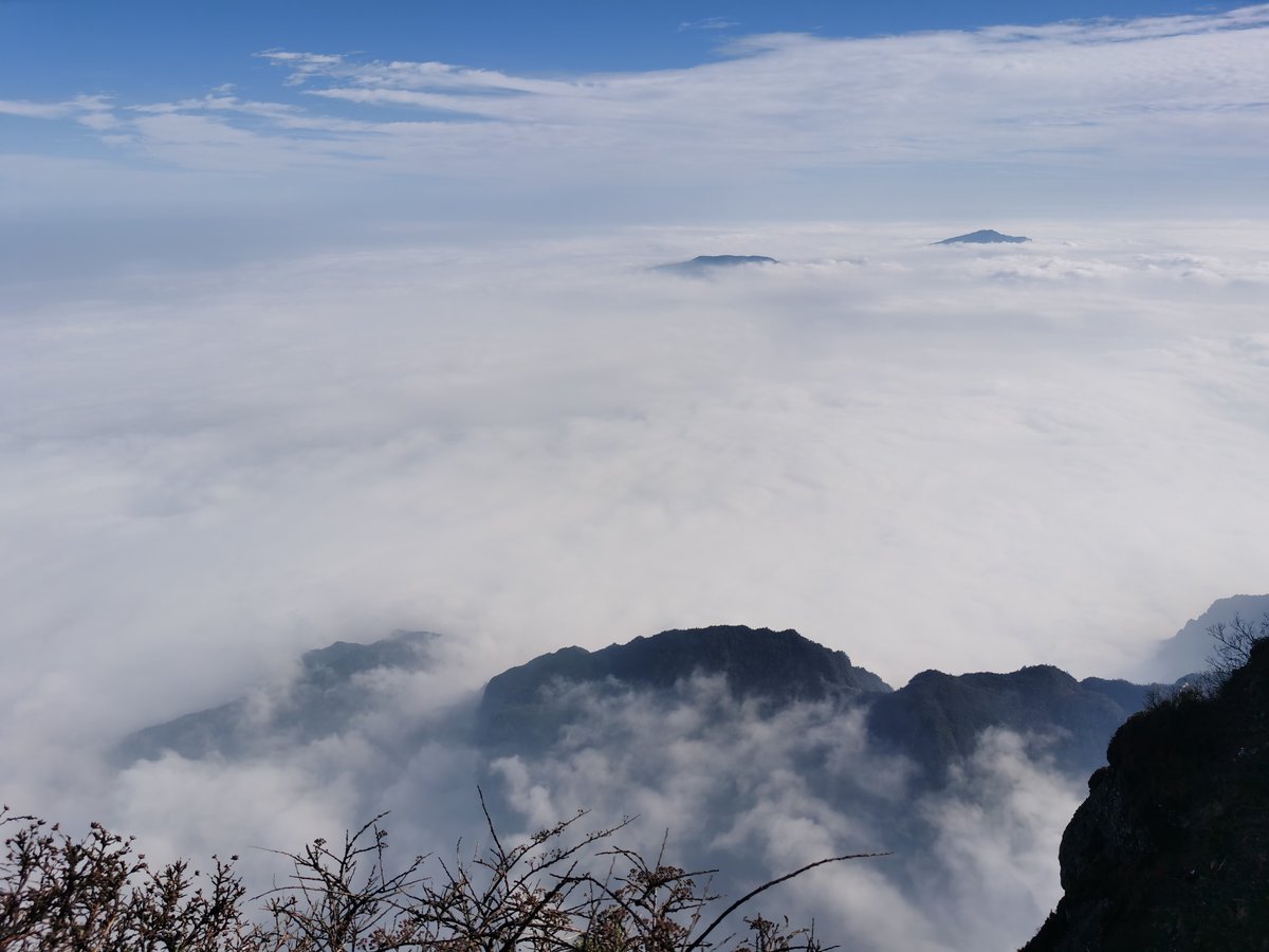 一个令人打开心扉的地方#峨眉山