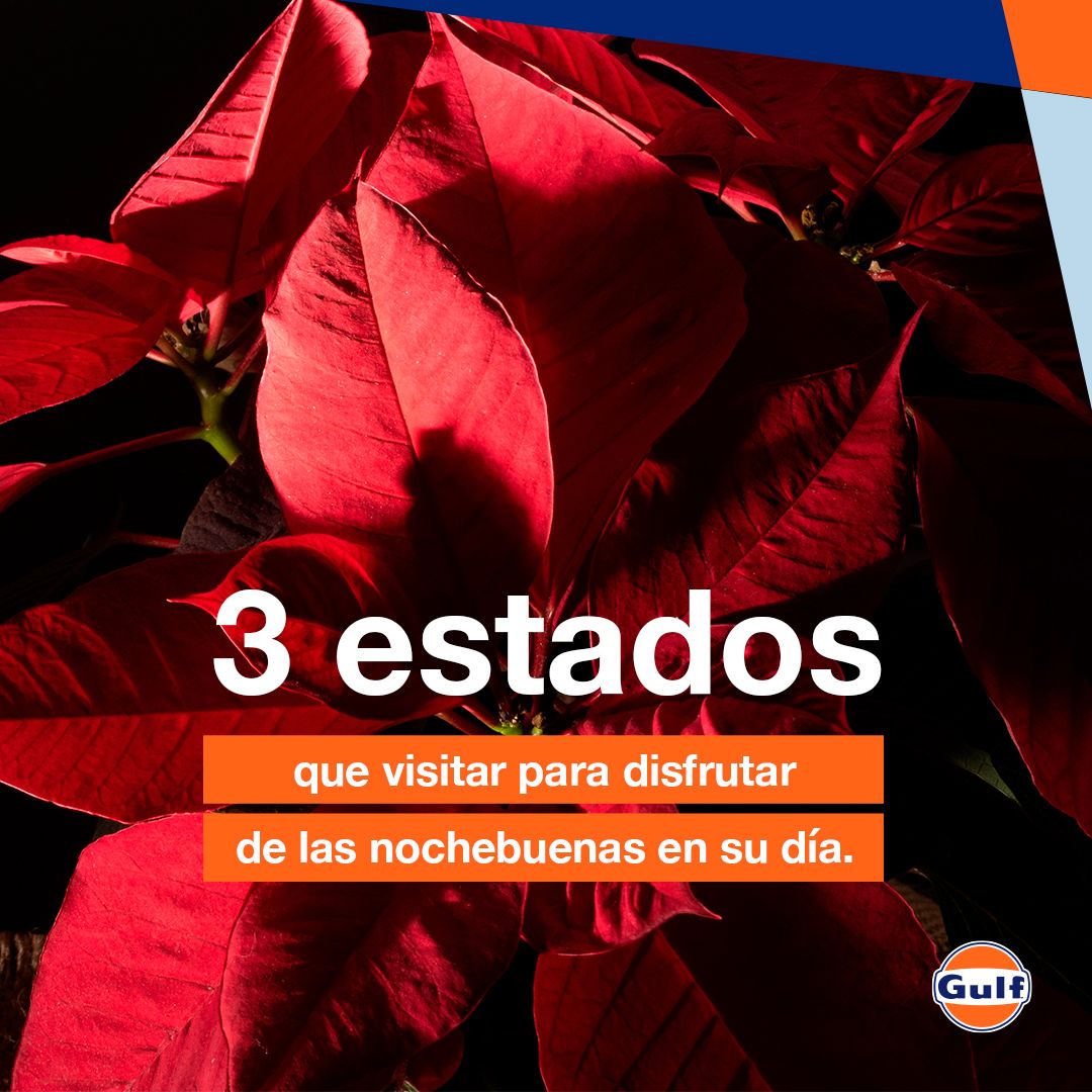 Gulf México tweet media