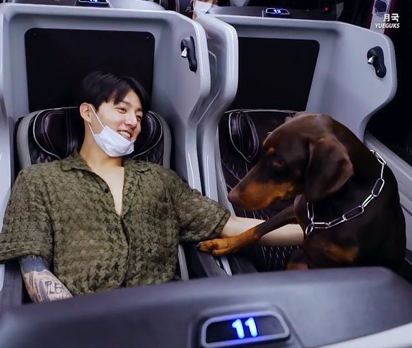 jungkook choosing Bam because he was the only puppy not receiving any milk from his mother, and the fact he didn't dock bam's tail or crop ears even though most doberman owners do it. Taehyung adopting Tannie despite his health problems, Hobi and his family rescued mickey, who