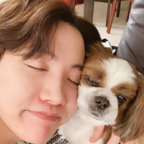 mhereonlyforbts's tweet photo. jungkook choosing Bam because he was the only puppy not receiving any milk from his mother, and the fact he didn't dock bam's tail or crop ears even though most doberman owners do it. Taehyung adopting Tannie despite his health problems, Hobi and his family rescued mickey, who was abandoned in a gas station, like bts are truly angels:(