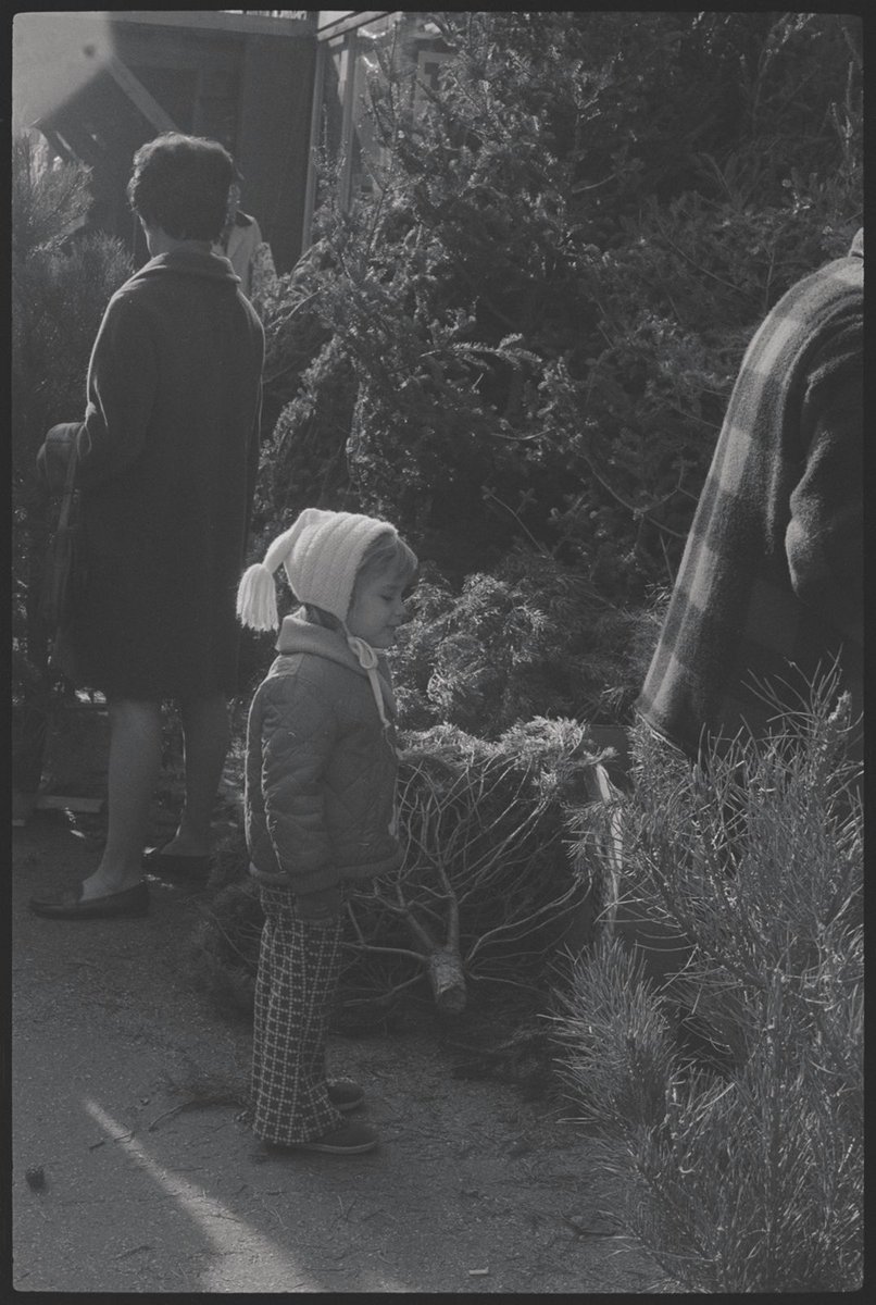 🌲 It’s beginning to smell a lot like pine trees! 

Our collection contains over 10,000 photographic negatives by Morris Huberland dating from the 1940s through the 1980s, mostly featuring New York City and its inhabitants. #NYPLDigitalCollections on.nypl.org/3RuVZES