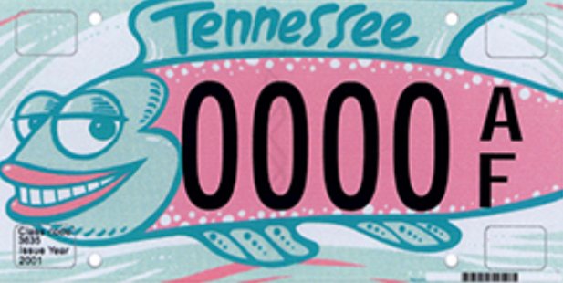 This fish wants you to support the arts. Celebrate fish and the arts by purchasing your very own Tennessee Specialty license plate.

Head over to tnspecialtyplates.org and shop for one that fits you.

@tn_arts  #specialtylicenseplate