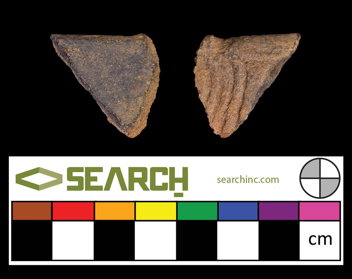 #FridayFinds – A fragment of Lamar Complicated Stamped pottery found at an archaeological site in #Florida.

#Pottery #Archaeology