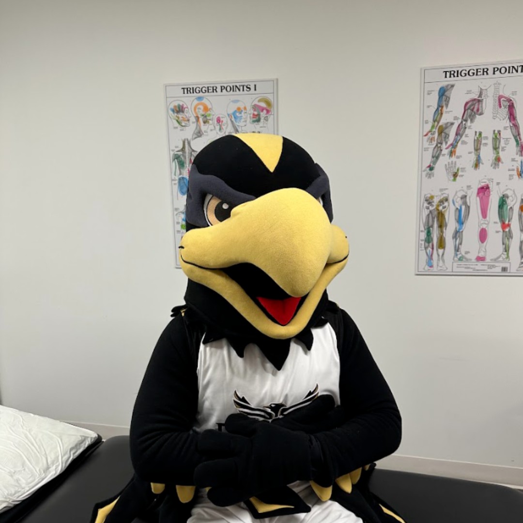 Suffering from neck and back pain while studying? Don’t let the pain affect your grades! The Wellness Office can help 🌿 Book an appointment with our Chiropractor or Physiotherapist to help you feel your best! ow.ly/rag150PCyAb