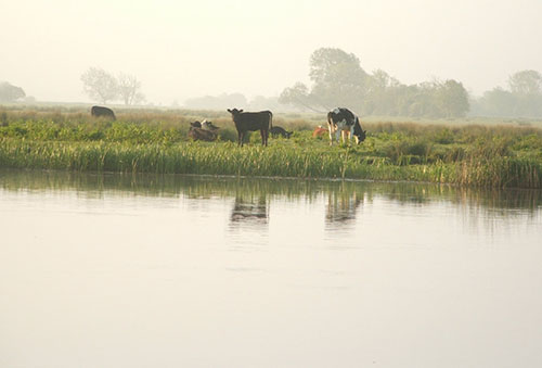 I have raised the issue of the Fodder Support Scheme for the Shannon Callows and the fact that farmers are not eligible despite not being able to save the hay due to land being saturated due to summer flooding with the Minister for Argiculture. seancanney.com/calls-on-the-m…