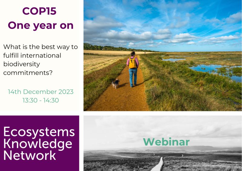 EcosystemsNet's tweet photo. What's the best way to fulfill international #biodiversity commitments?
Webinar 14 Dec 13.30 GMT. Hear from those closely involved in #ecosystemapproach principles adopted by @UNBiodiversity #cop15 & examples of those at the fore in delivering locally.
https://t.co/4XdvG5kD7B https://t.co/BBmSCXoDB8