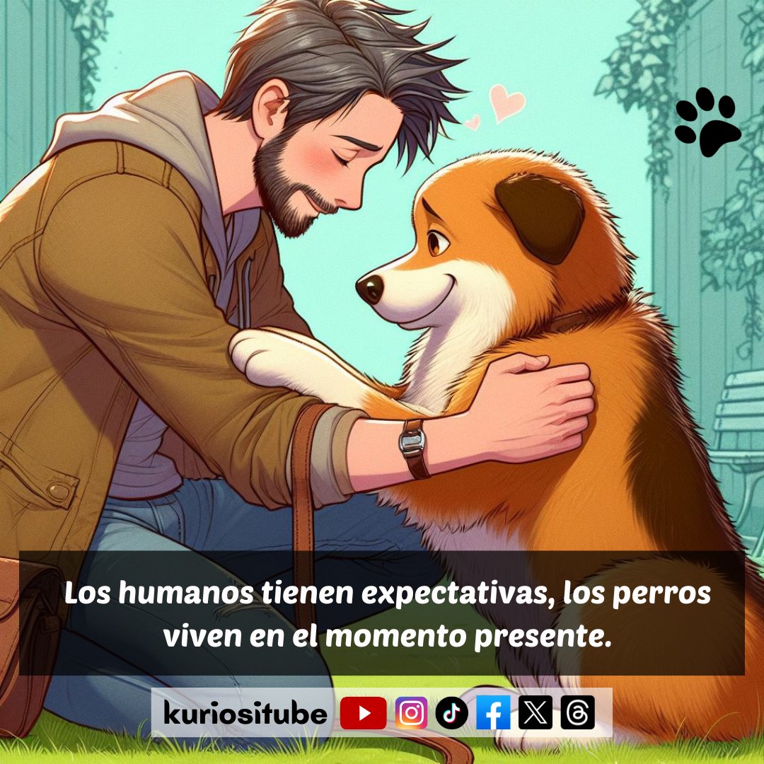 kuriositube's tweet photo. 🐾⏳ "Los humanos tienen expectativas, los perros viven en el momento presente." 🐶✨ En la simplicidad de su enfoque, encontramos lecciones valiosas sobre disfrutar el ahora. #perros   #doglovers #mascotas #amorperros #ViveElPresente #AmoAMiPerro   #LeccionesDeVida #dogs https://t.co/yzlIVQDzgZ