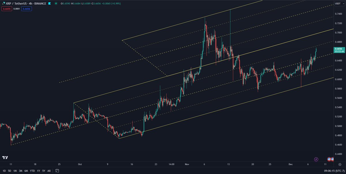 nevernull tweet media