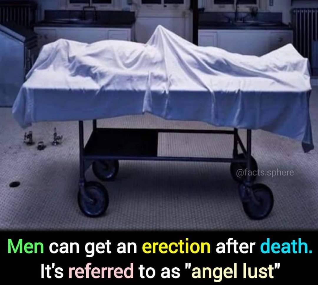Men can get an erection after death 

Also called angel lust or terminal erection, it happens in the moments after death. Most commonly, it occurs in men who have died from hanging.

|| Abena Korkor || Afronita || #Cheddar || Sark || #MyGhanaCard || Putin || Shallipopi ||Obidi ||