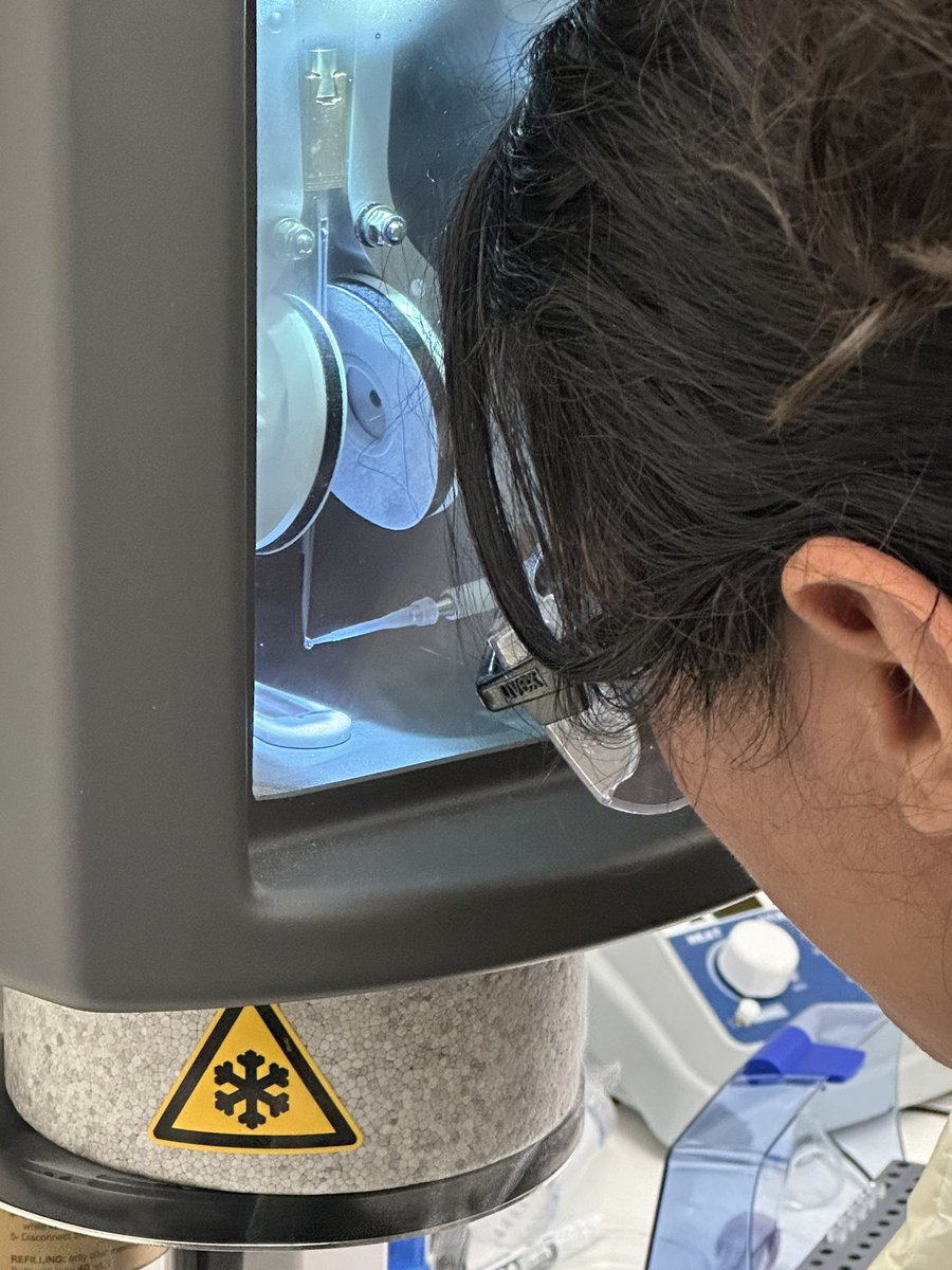 Elisa Olivas (@elisaolivas4) on Twitter photo So many opportunities have opened up for me thanks to <a href="/JoePattersonEM/">Joe Patterson</a> I took my first flight, passed candidacy and now I’m working at Sandia national Labs for my UCI-LANL fellowship. Super grateful and proud to be a Latina in STEM. So many opportunities have opened up for me thanks to <a href="/JoePattersonEM/">Joe Patterson</a> I took my first flight, passed candidacy and now I’m working at Sandia national Labs for my UCI-LANL fellowship. Super grateful and proud to be a Latina in STEM.