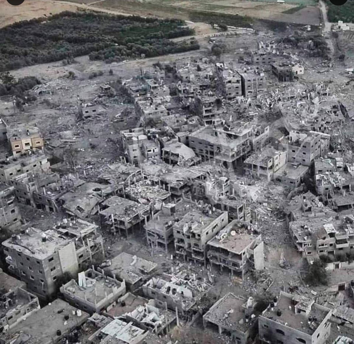 #Israel ha lanzado ya 50.000 toneladas de explosivos sobre la población civil de #Gaza en 63 días, tres veces más que la bomba nuclear de Hiroshima. El desprecio de la humanidad es lo mínimo que se merecen los sionistas. Y así está siendo, son un fraude que no los quieren en