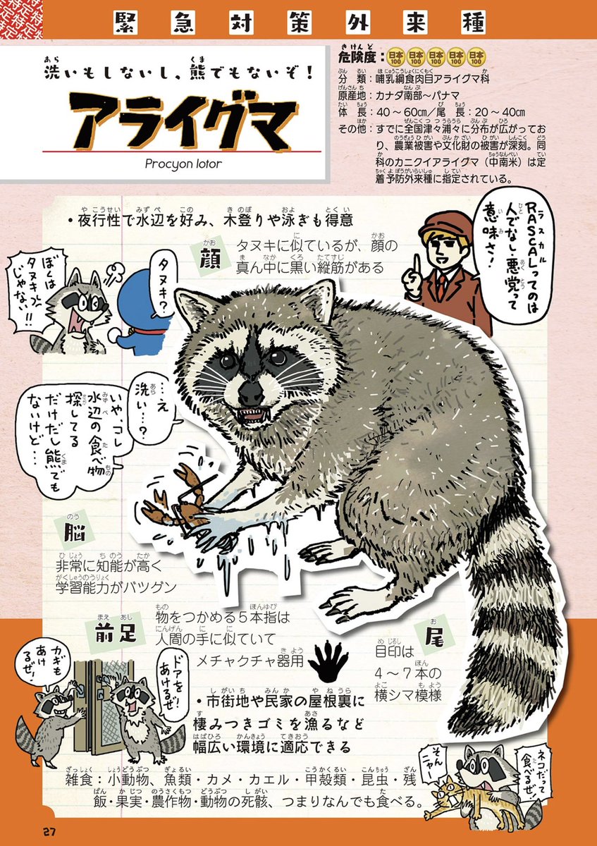 ちなみに、よくタヌキと間違われるアライグマですが、ラスカルのアニメ人気で70年代にペットとして輸入され、買いきれないオーナーが捨てまくり、今や年間うん億円の農業被害を出す特定外来生物と化しております。
https://t.co/xwbXCKuvyD
病気とかも媒介します。

#外来いきもの図鑑 