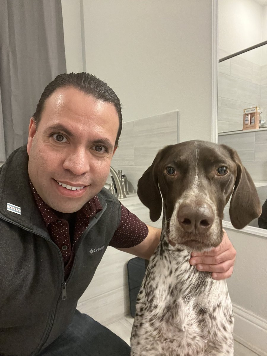 TheDogBlu's tweet photo. We is buds! https://t.co/fGZjAt7WJy