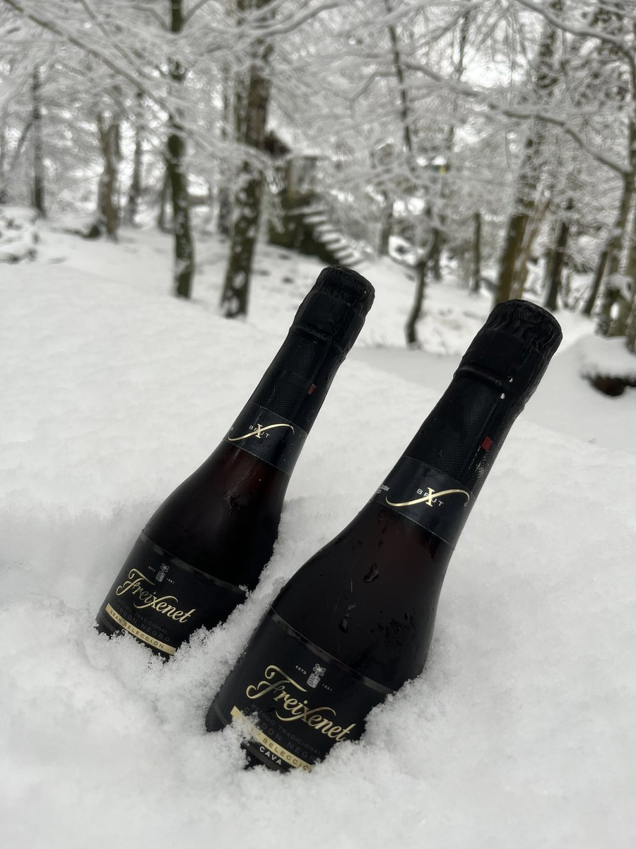 amytagoe's tweet photo. Perfect birthday picnic in the snow @FreixenetUK #chilled #freixenet https://t.co/PWKbFUx86L