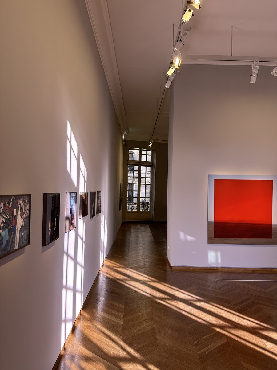 stanley_human's tweet photo. On the last day in Paris, my wife and I visited the Viviane Sassen Phosphor Photography Exhibit. #MEPParis #ExpoSassen https://t.co/f8IJ6PeaSd