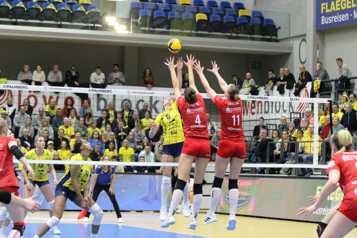 Vorbericht zum Spiel gegen Schwerin.
dscvolley.de/waibl-wollen-d…