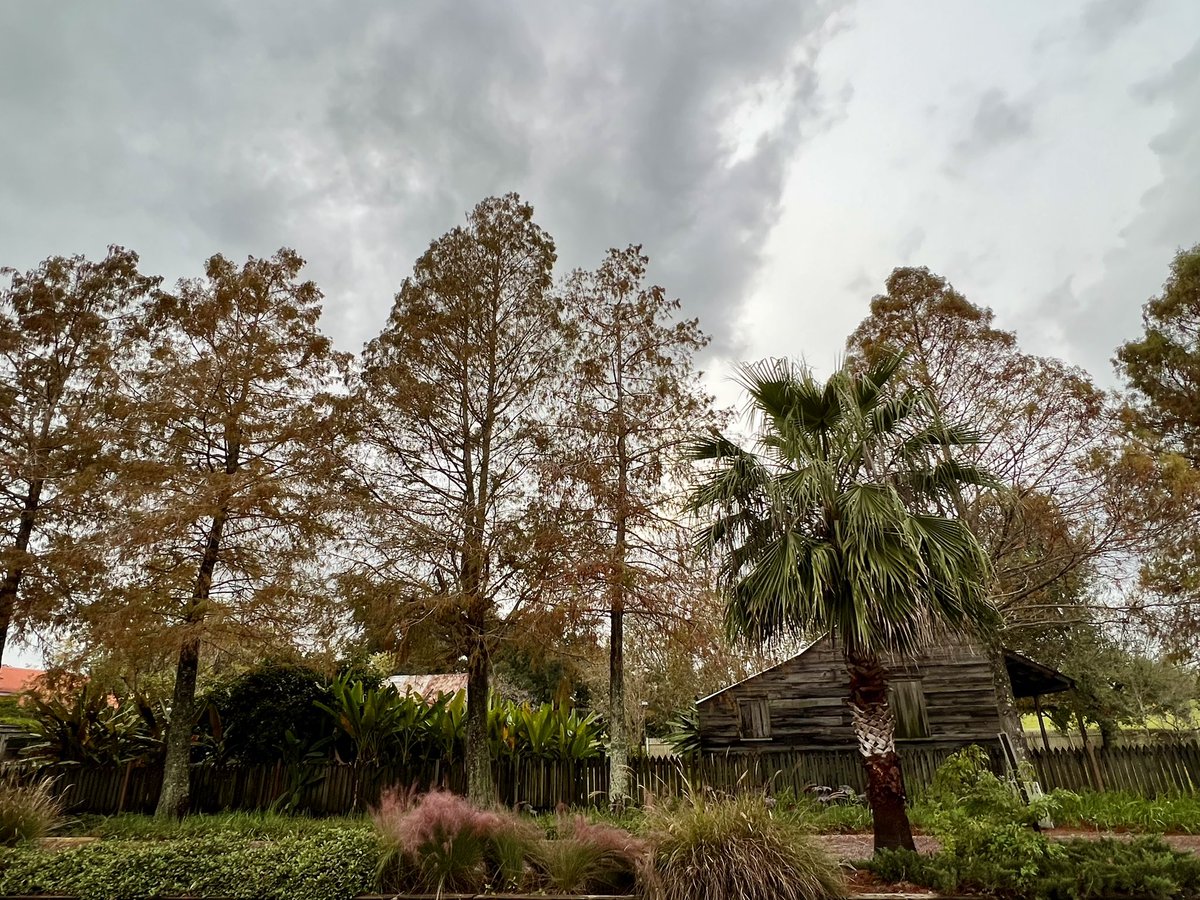 LauraPlantation tweet media