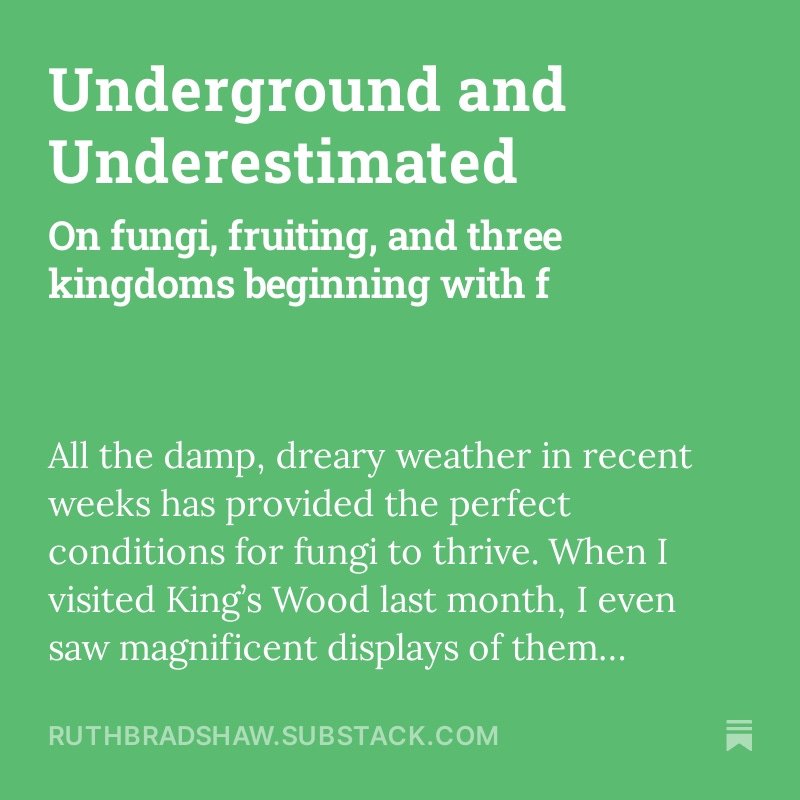 Just published a piece exploring fungi and whether we really ought to be paying them more attention.