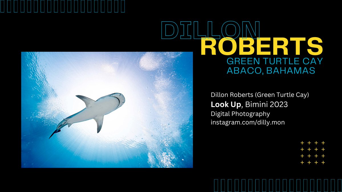 PotcakeNFT's tweet image. Let's highlight one of our artists! Dillon Roberts, aka Dilly Mon, is an incredible photographer. Give him a follow over on IG and tell him Potcake Rescue sent you.

instagram.com/dilly.mon

Check out more of our artists at PotcakeRescue.com