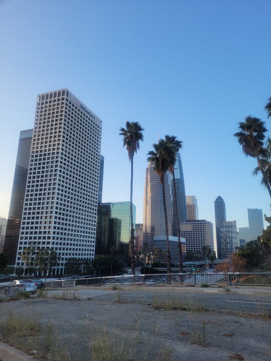 Beautiful LA, photos by @olyasongs 
#losangeles #olyasongs #olyak
#photosbyolyak #uber #onmywaytowork #goodmorning #skyscrapers 
#cityviews #urbanphotography