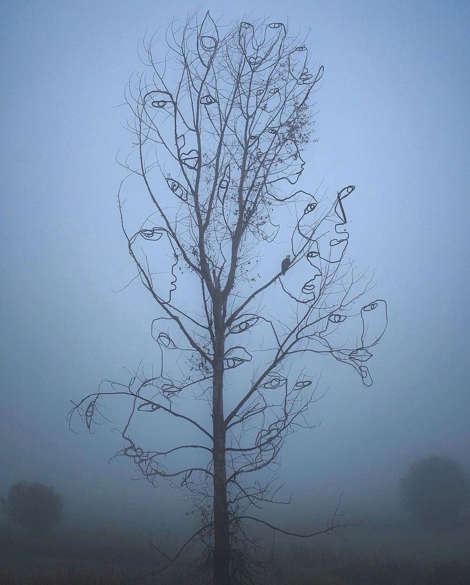 Bu görsele sevdiğin bir şiiri bırak.