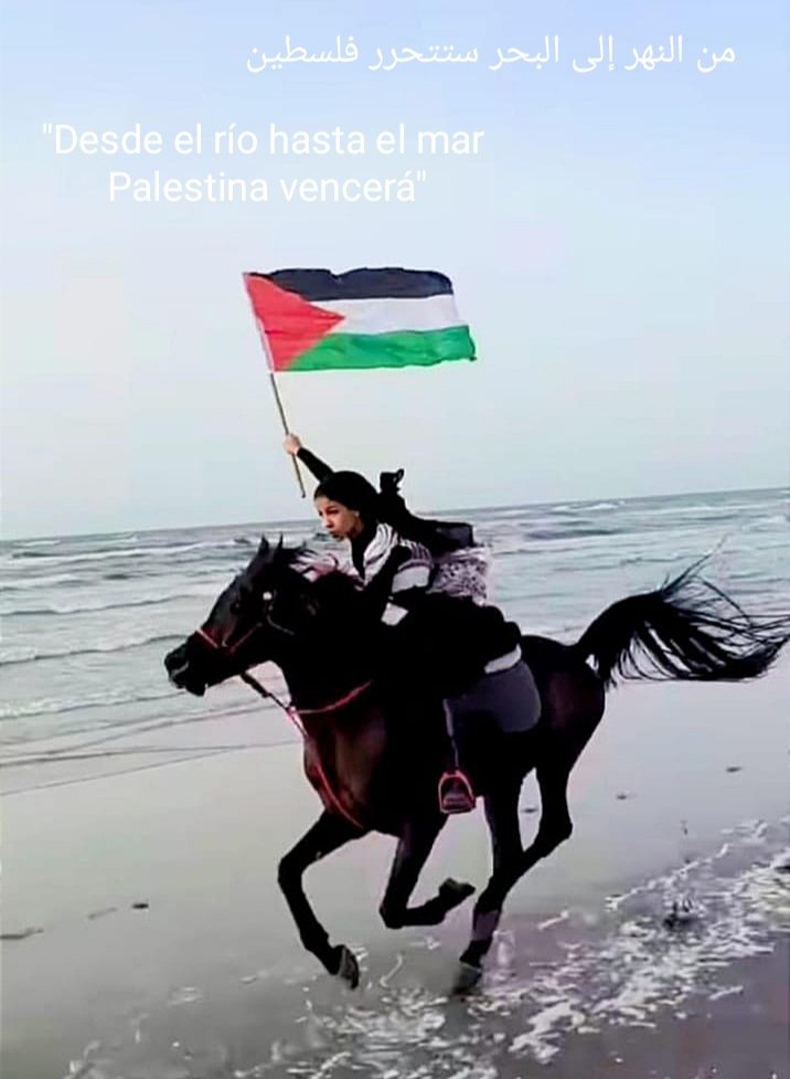 Miriam 🇵🇸 tweet media